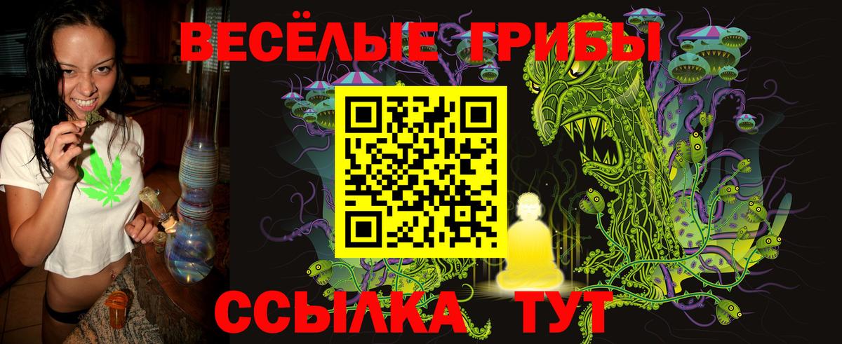 Бугуруслан  Галлюциногенные грибы прущие грибы  Псилоцибиновые грибы мицелий  Вход с VPN 